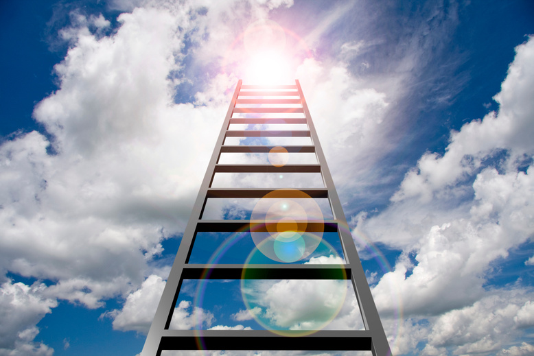 Ladder to Success