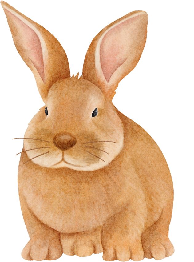 watercolor rabbit