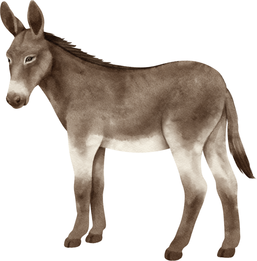 donkey watercolor farm animals